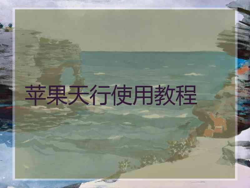 苹果天行使用教程