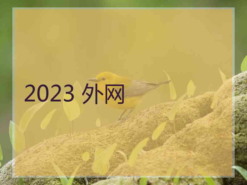 2023 外网
