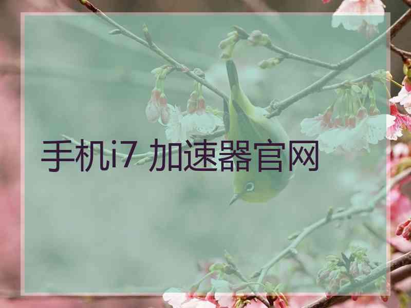 手机i7 加速器官网