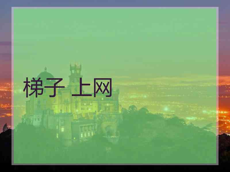 梯子 上网