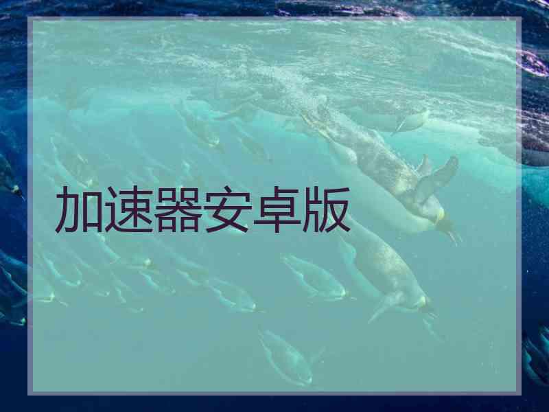 加速器安卓版