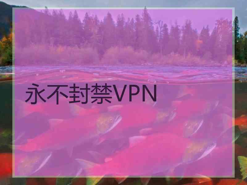 永不封禁VPN