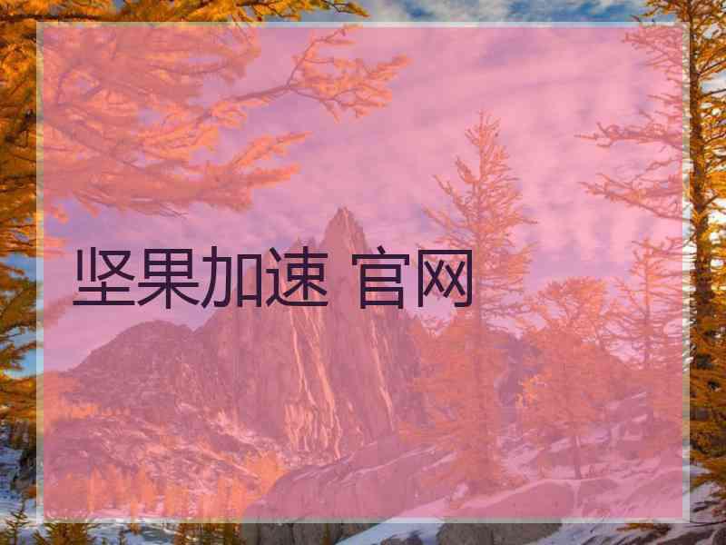坚果加速 官网
