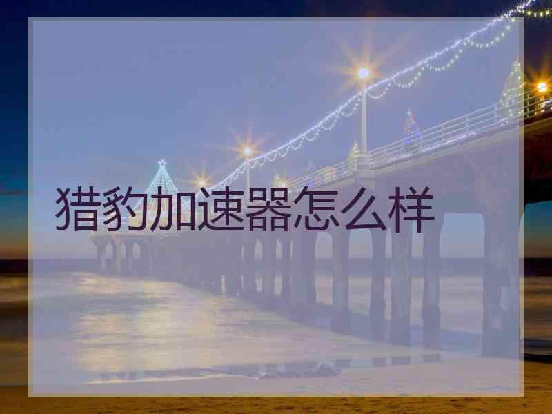猎豹加速器怎么样