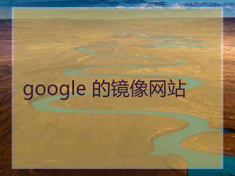 google 的镜像网站