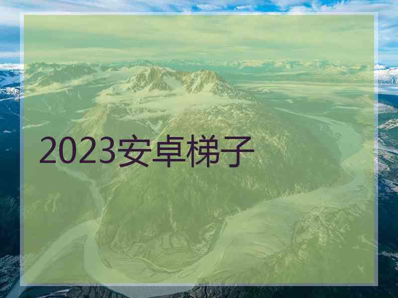 2023安卓梯子