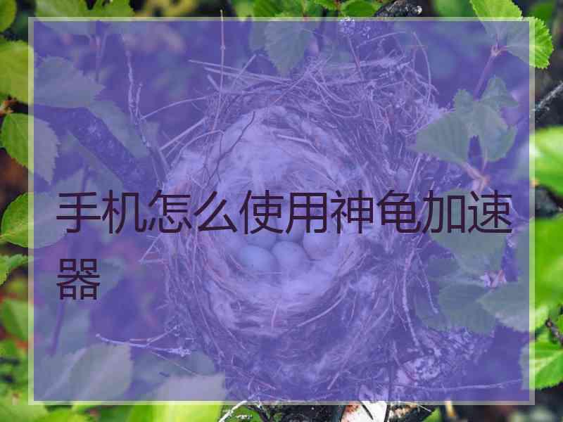 手机怎么使用神龟加速器