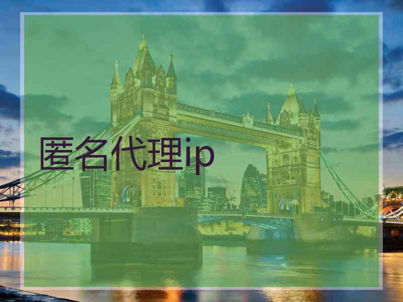 匿名代理ip