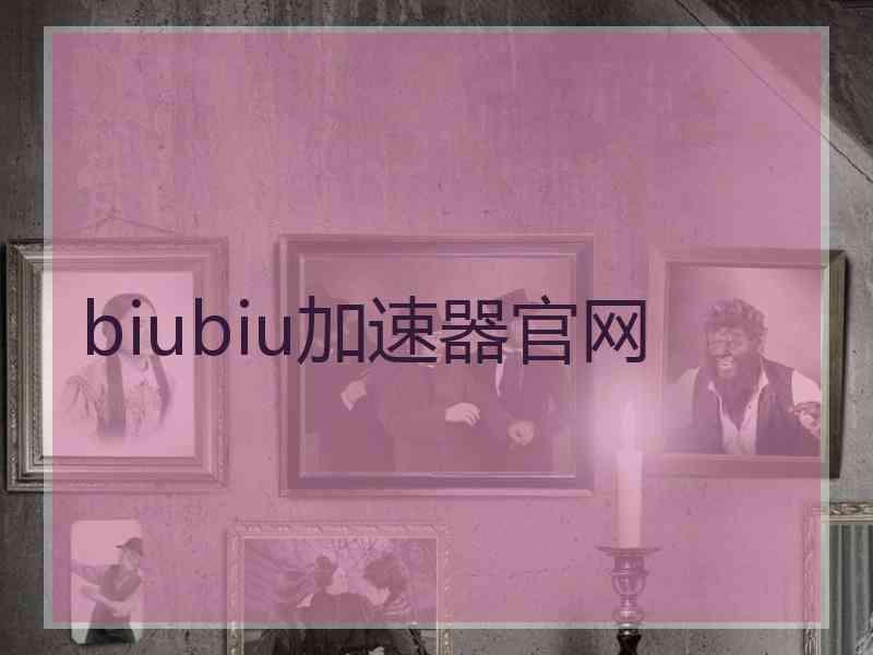biubiu加速器官网
