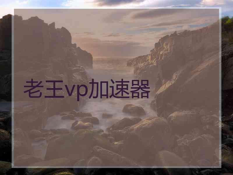 老王vp加速器