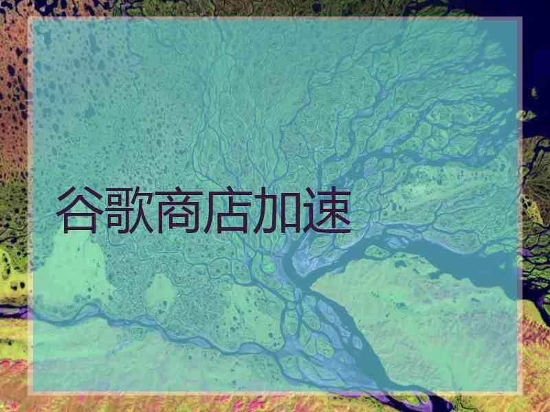 谷歌商店加速