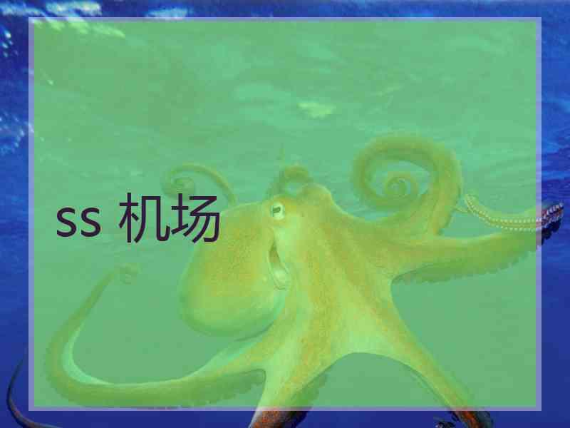 ss 机场