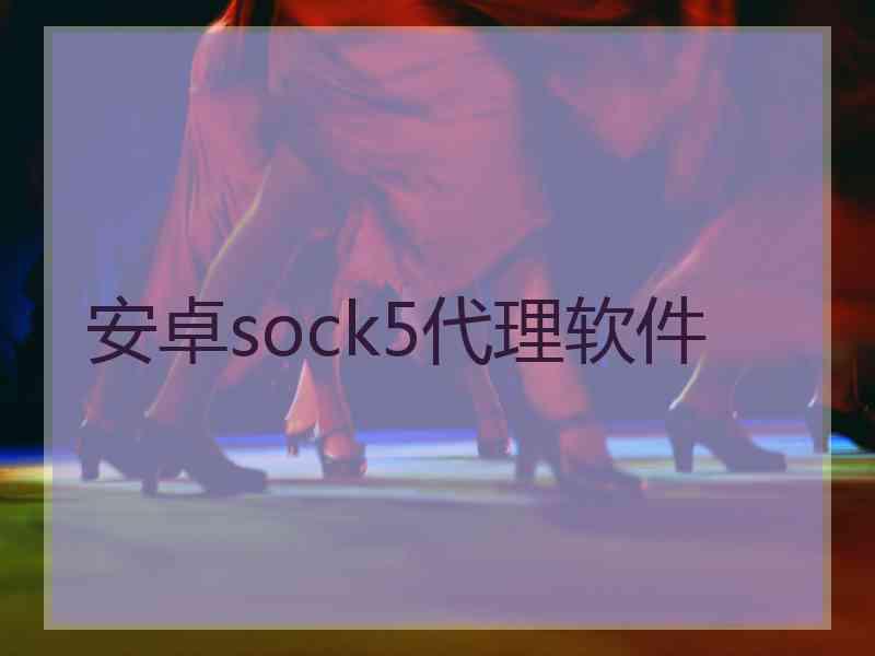 安卓sock5代理软件