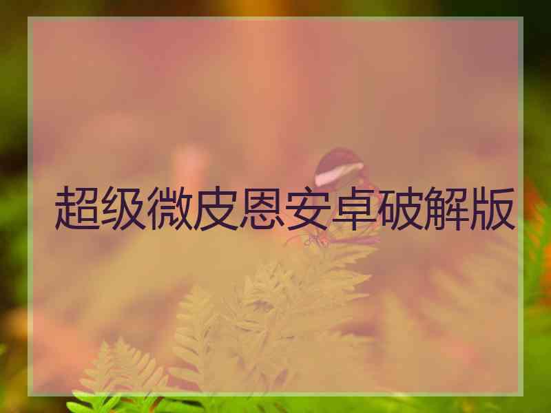 超级微皮恩安卓破解版