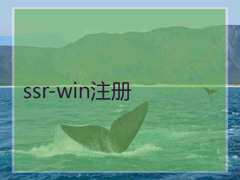 ssr-win注册