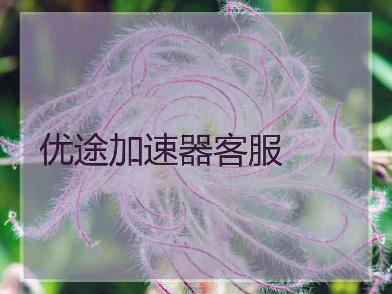 优途加速器客服