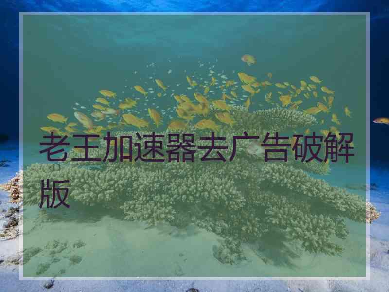 老王加速器去广告破解版
