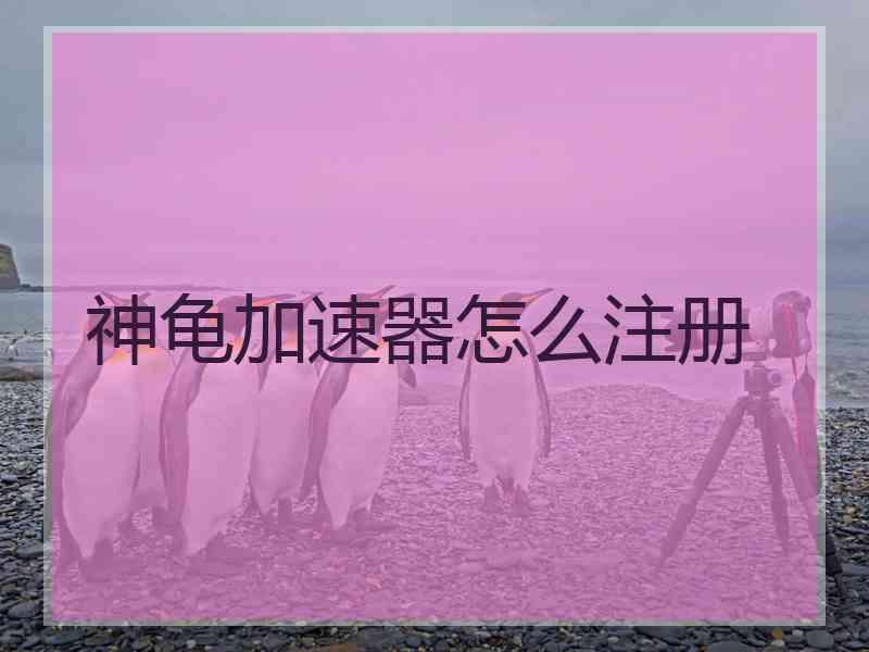 神龟加速器怎么注册
