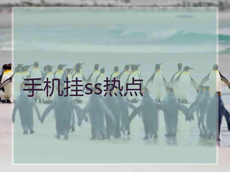 手机挂ss热点