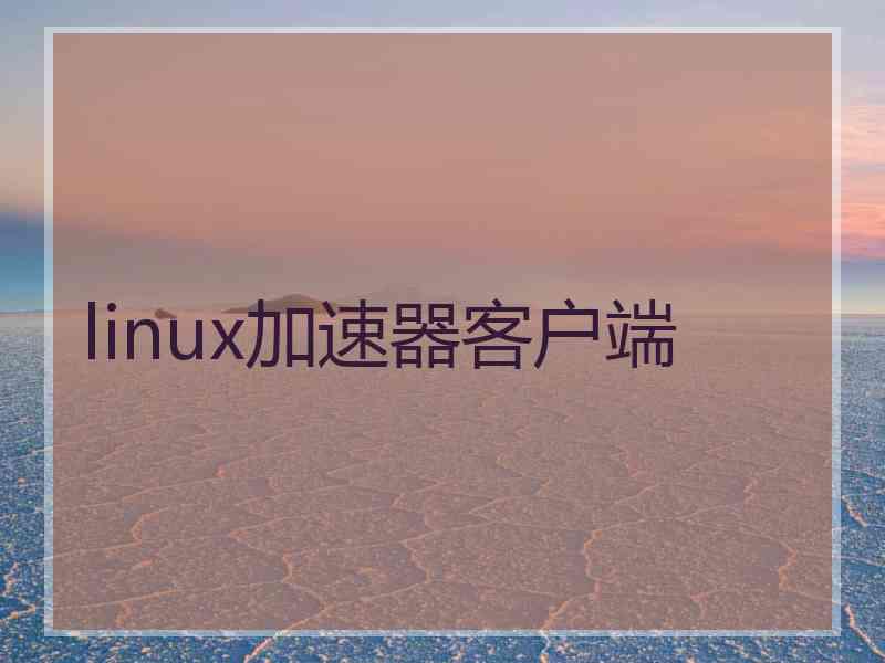 linux加速器客户端