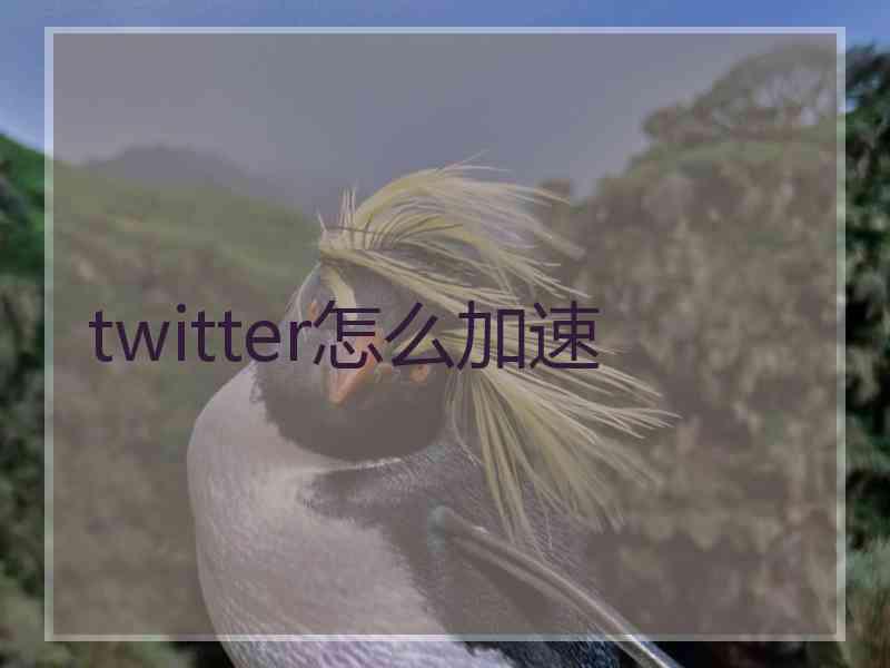 twitter怎么加速