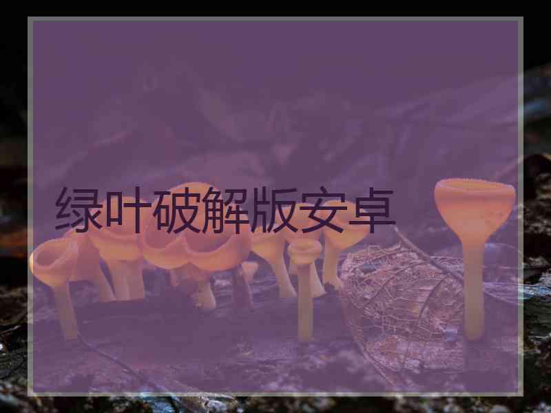 绿叶破解版安卓