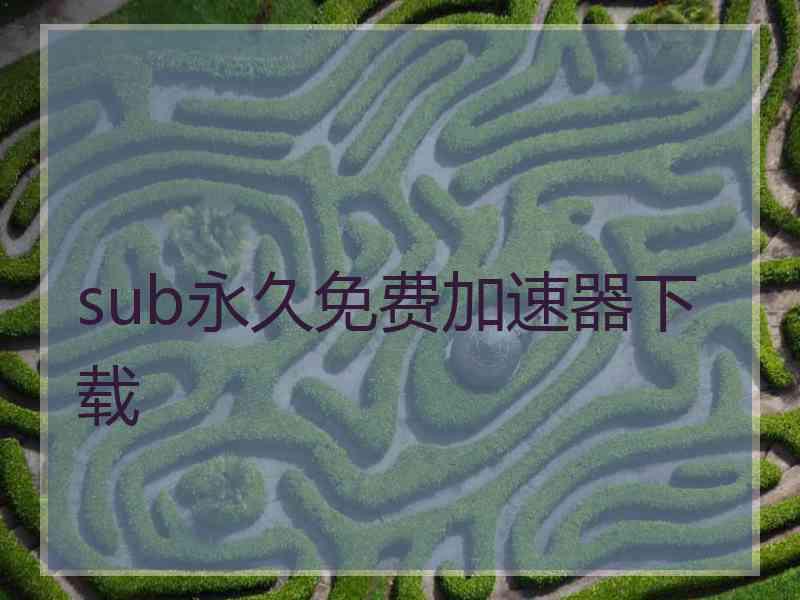 sub永久免费加速器下载