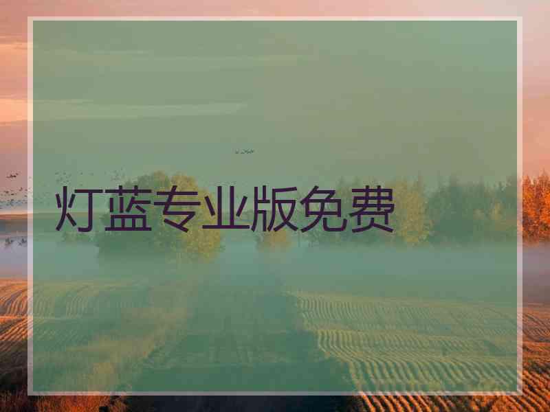 灯蓝专业版免费