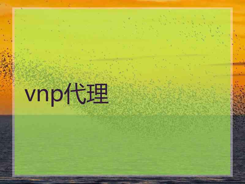 vnp代理