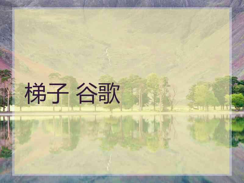 梯子 谷歌
