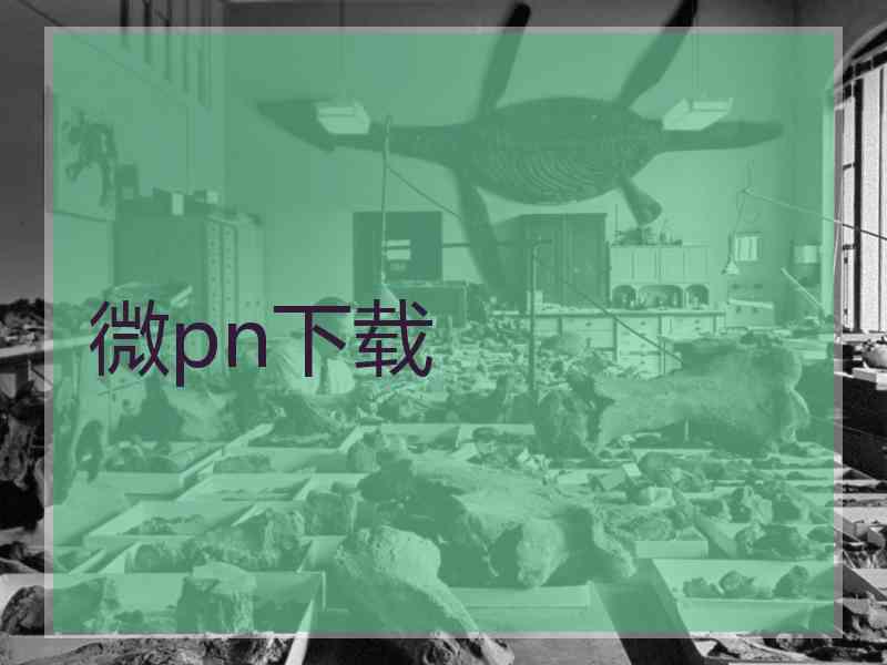 微pn下载