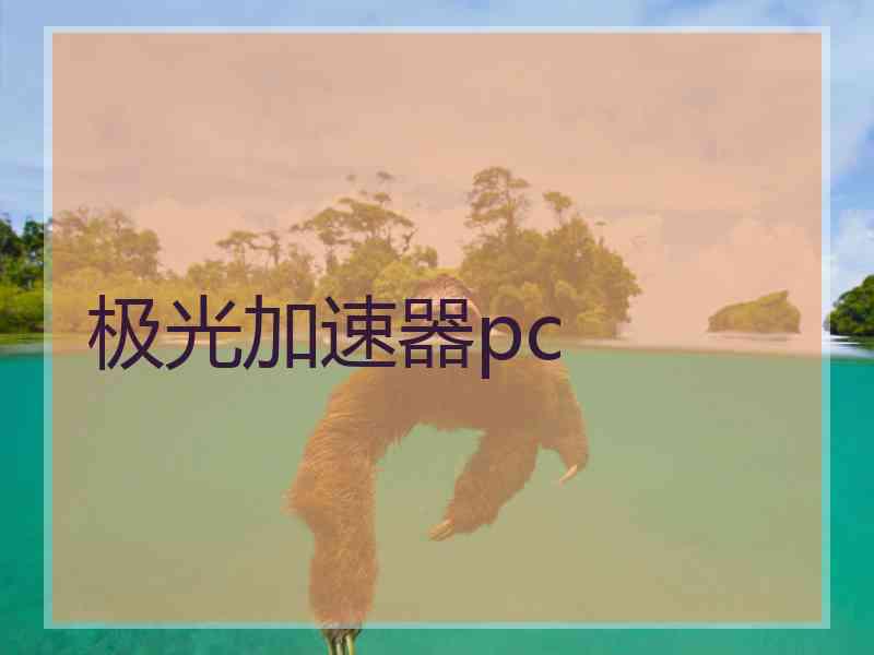 极光加速器pc