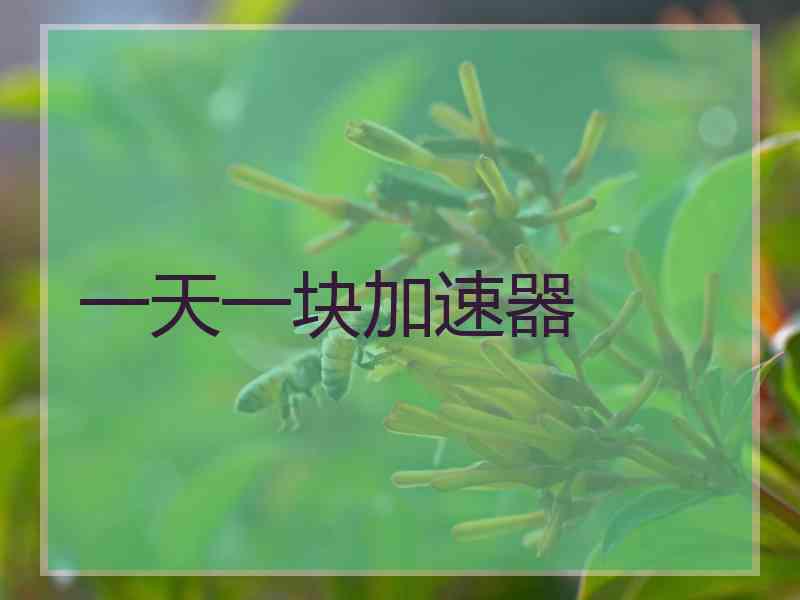 一天一块加速器
