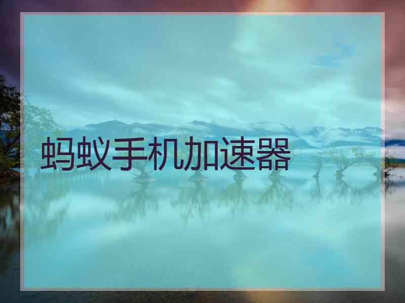 蚂蚁手机加速器