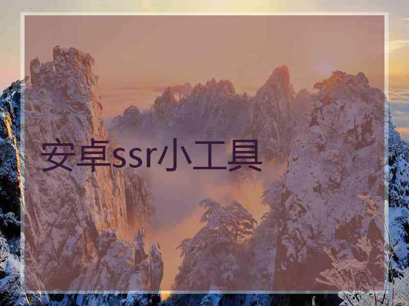 安卓ssr小工具