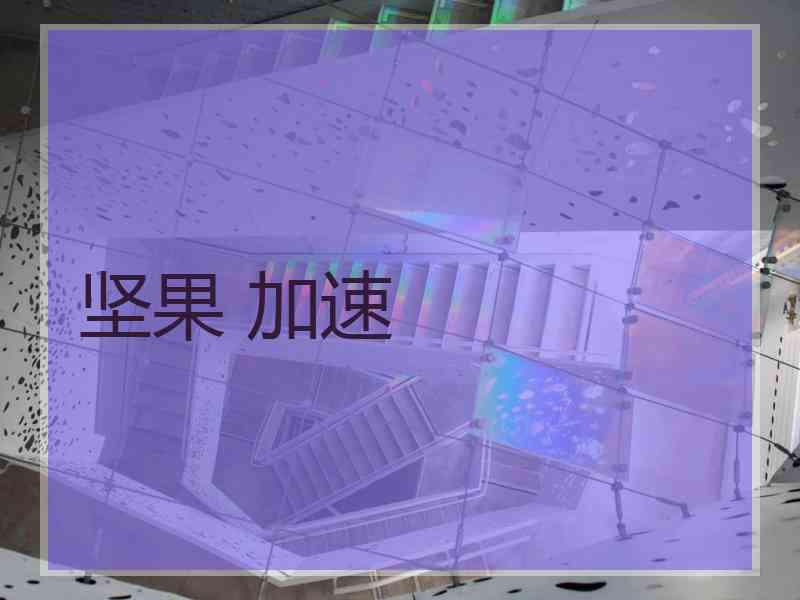坚果 加速