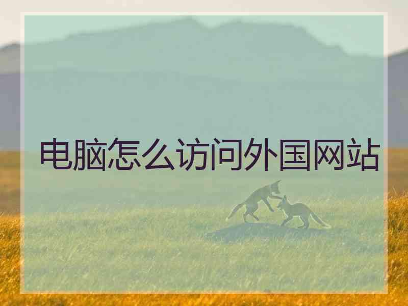电脑怎么访问外国网站
