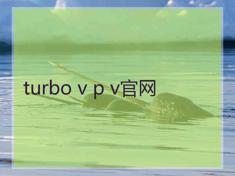 turbo v p v官网
