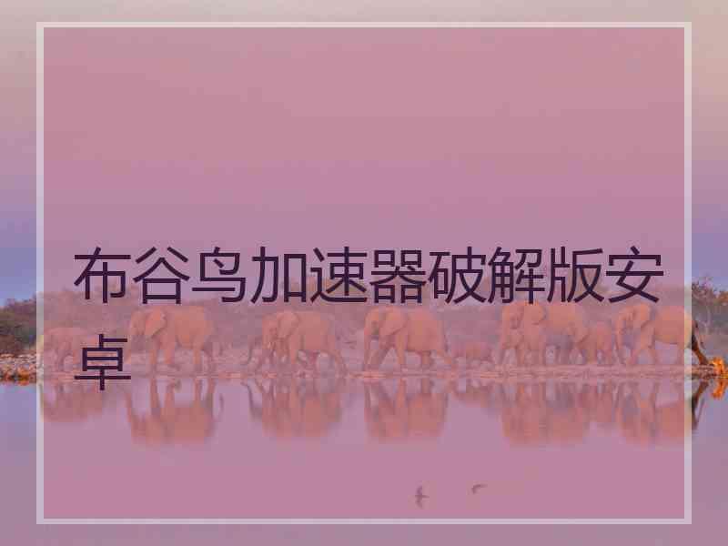 布谷鸟加速器破解版安卓