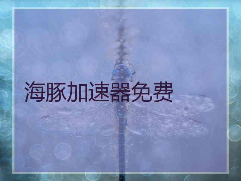 海豚加速器免费