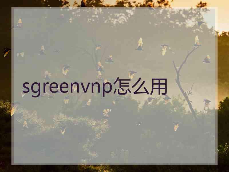 sgreenvnp怎么用