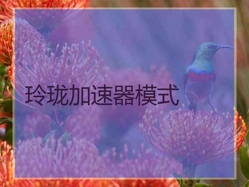 玲珑加速器模式