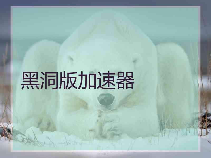 黑洞版加速器