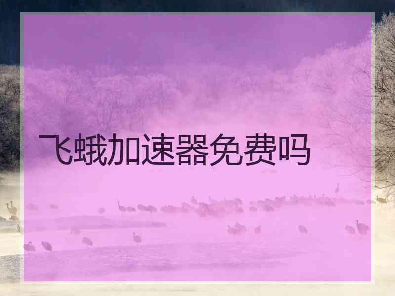 飞蛾加速器免费吗
