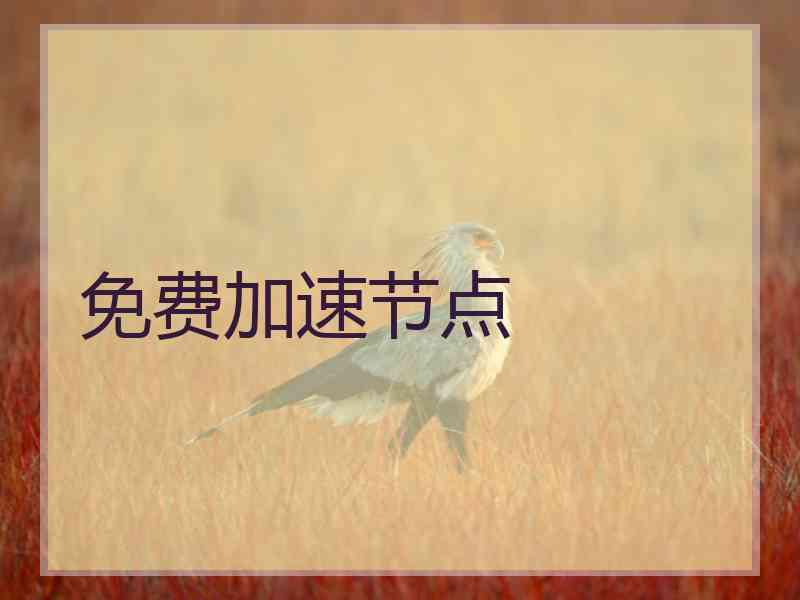 免费加速节点