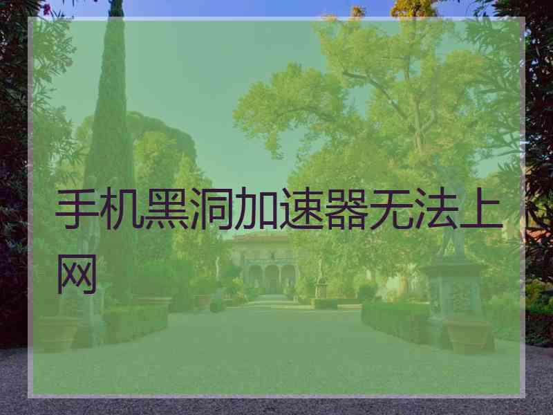 手机黑洞加速器无法上网