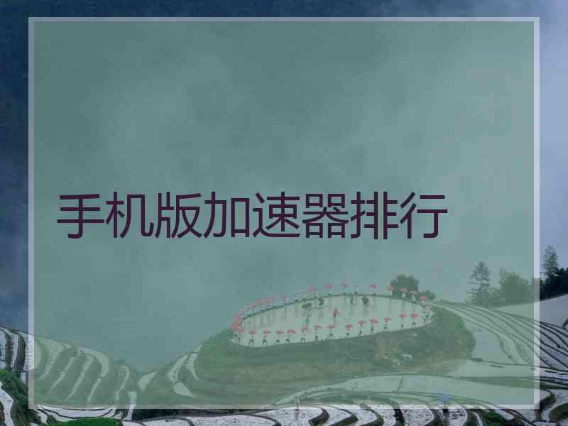 手机版加速器排行