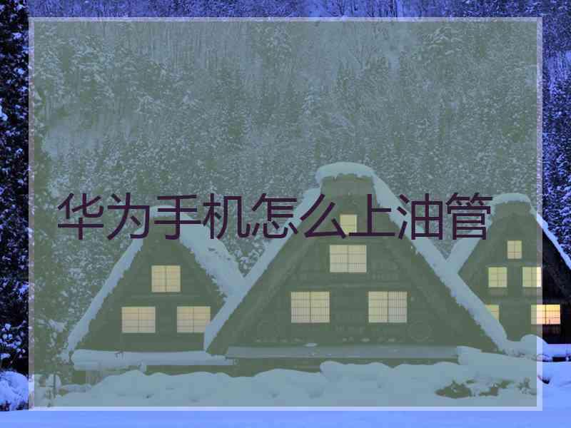 华为手机怎么上油管