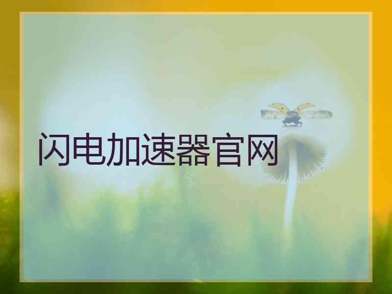 闪电加速器官网