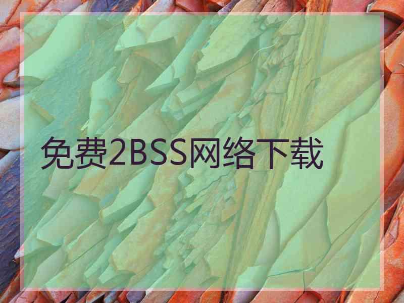 免费2BSS网络下载